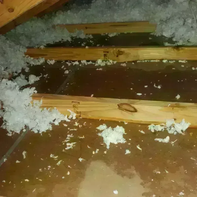 Attic Water Damage in Garden City South, NY