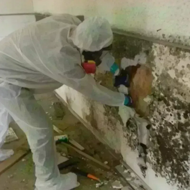 Mold Remediation and Removal in Garden City South, NY